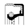 CORTECO 20026342 100x125x13 FPM B1BASLRSX2 Seal