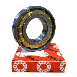 Cylindrical roller bearing NU2208  EM1 FAG 40x80x23