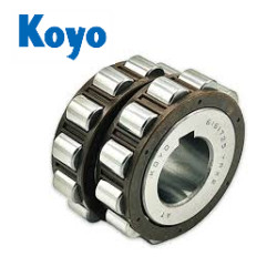 KOYO 61617-25 YRX2 Double Row Cylindrical Roller Bearing 35x86.5x50 | Without Outer Ring - Simmering.pl