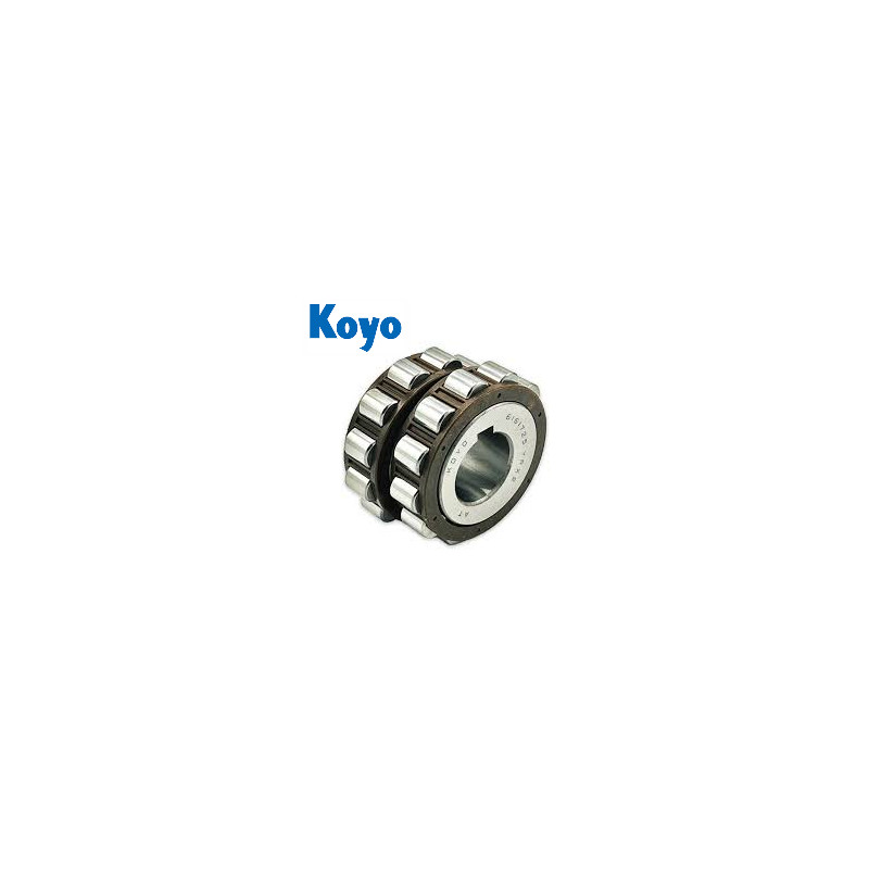 KOYO 61617-25 YRX2 Double Row Cylindrical Roller Bearing 35x86.5x50 | Without Outer Ring - Simmering.pl