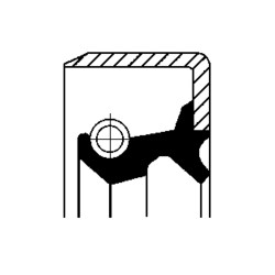 B1KLSL Oil Seal