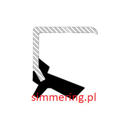 Uszczelniacz CORTECO 19027832 ACM 40x55,5x9/10,8 | Simmerring do HONDA