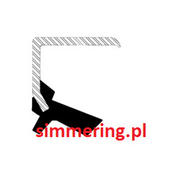 Uszczelniacz CORTECO 19034921 NBR KBW - Simmerring 62x78x7/9,5 do HYUNDAI i MITSUBISHI