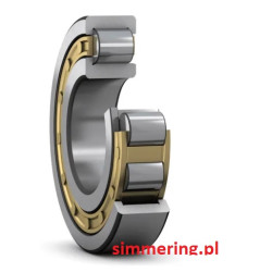 NUP2244-EX-TB-M1-C3 FAG 220x400x108 Cylindrical Roller Bearing - Precision & Durability