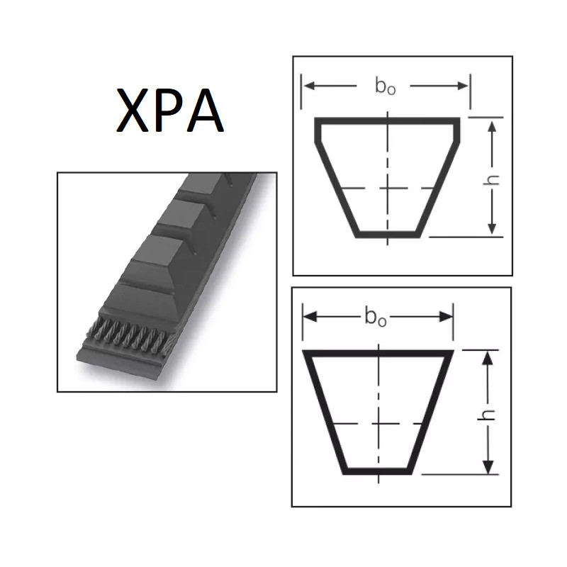 MECALINE XPA 1250 Raw Edge Cogged V-Belt – 12.7x10 mm High-Performance Drive Belt