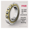FAG QJ 1244 N2 MPA C3 – Four‑Point Angular Contact Ball Bearing 220 × 400 × 78 mm
