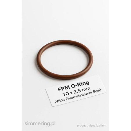 FPM O-Ring 70 × 2.5 mm (Viton Fluoroelastomer Seal)
