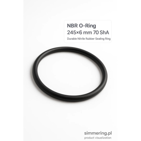 NBR O-Ring 245×6 mm 70 ShA – Durable Nitrile Rubber Sealing Ring
