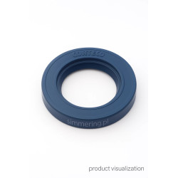 Radial Shaft Seal for Landini, Land Rover, Massey Ferguson