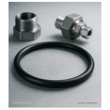 O-ring 291,7×3,53 CR