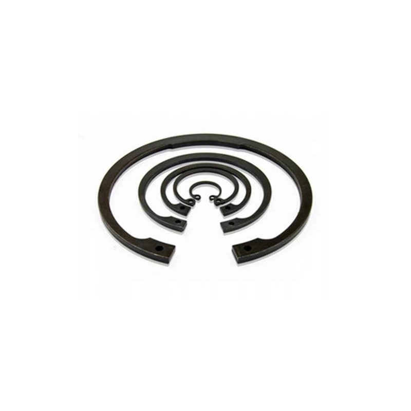 W 210 SEGER  Snap Ring | Circlip
