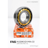 FAG NU 2340 EX-M1A-C3 (200×420×138 mm) – Cylindrical Roller Bearing