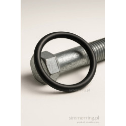 Oring 19x4 NBR 70 ShA - w opakowaniach po 100 szt.