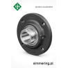 INA RFE 50 N Bearing Housing Unit Ø50 mm