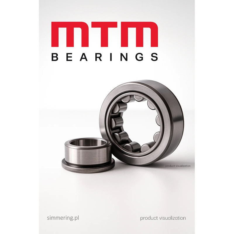 NJ 310 MTM 50×110×27 Cylindrical Roller Bearing
