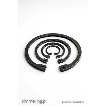 W 52/N SEGER Snap Ring | Circlip