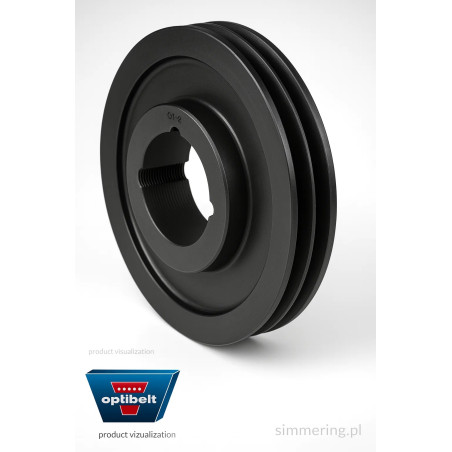 TB SPB 100/2 – Optibelt Industrial V-Belt Pulley
