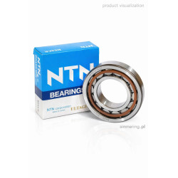 NJ 205 ET2X NTN 25x52x15 Cylindrical Roller Bearing
