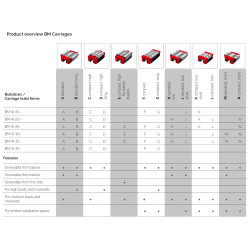 BMW 30 B-G3-V1 SCHNEEBERGER - Linear Guide Carriage