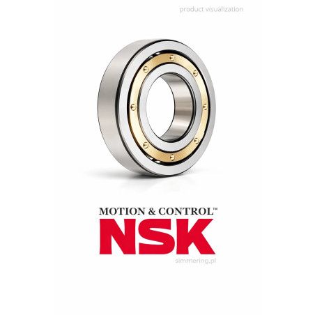 16038M NSK 190x290x31 Deep Groove Ball Bearing | High-Quality & Reliable