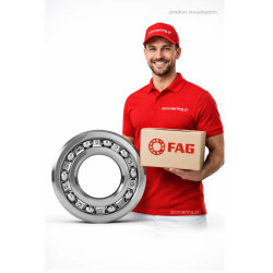 16005 C3 FAG Deep Groove Ball Bearing 25x47x8