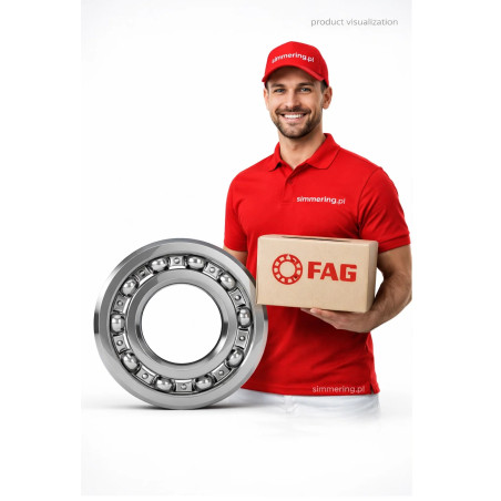 16005 C3 FAG Deep Groove Ball Bearing 25x47x8