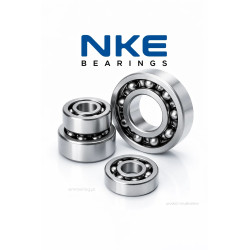 6205 NKE 25x52x15 Deep Groove Ball Bearing