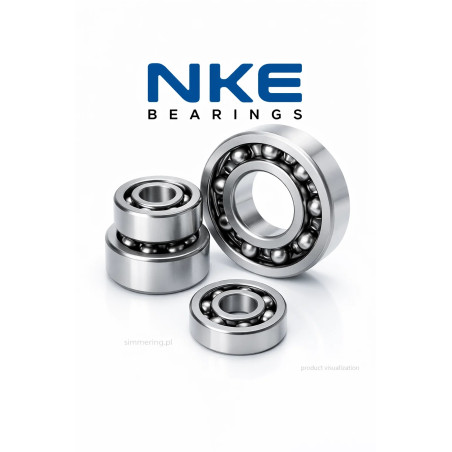 6205 NKE 25x52x15 Deep Groove Ball Bearing