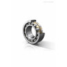 Self-Aligning Ball Bearing 1209 SK NTN 45x85x19