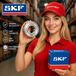 SKF 6004 ZZ 20x42x12 Deep Groove Ball Bearing
