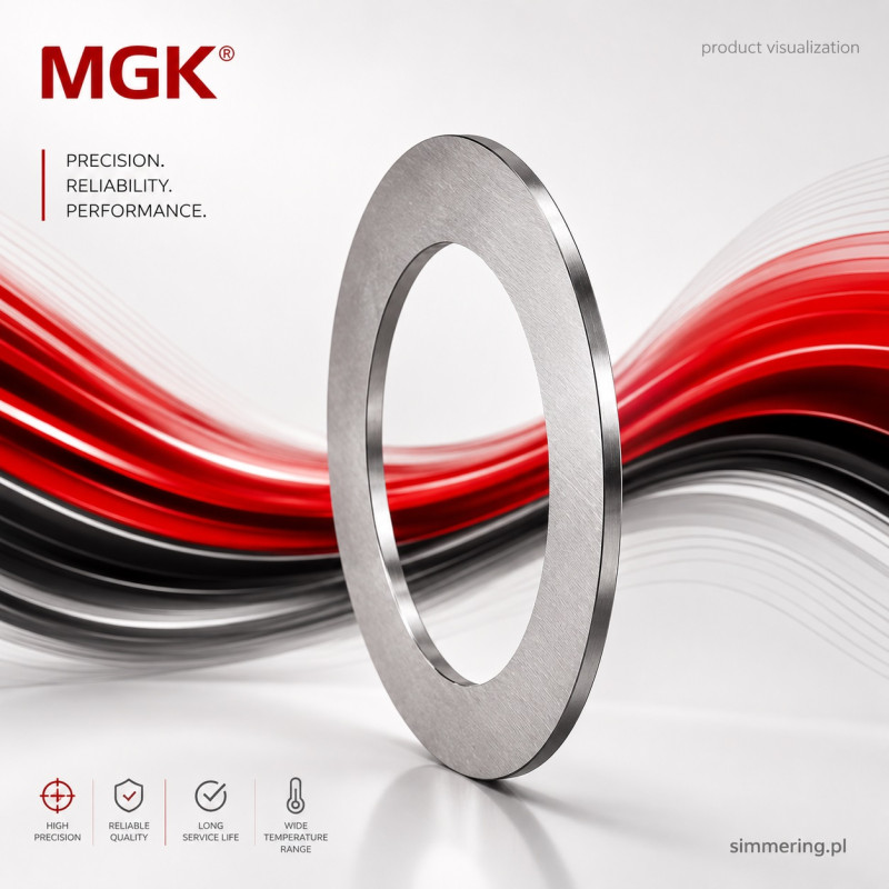 AS 0619 MGK - Thrust Washer 6x19