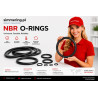 NBR O-Ring 388x6 mm 70 Shore A