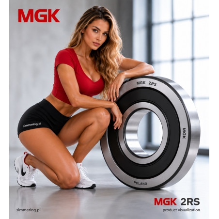 009 2RS MGK 45x75x16 Deep Groove Ball Bearing