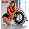 6009 2RS MGK 45x75x16 Deep Groove Ball Bearing