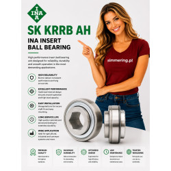 INA SK 102-207 KRRB AH10 Insert Ball Bearing 28.6x72x37.7 mm