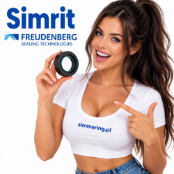 SIMRIT 220x265x19/21 NBR Rotary Shaft Seal