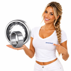 NU207 E ZVL Cylindrical Roller Bearing | 35x72x17 mm | Single Row