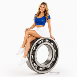 ZVL 6207 C3 Ball Bearing 35x72x17