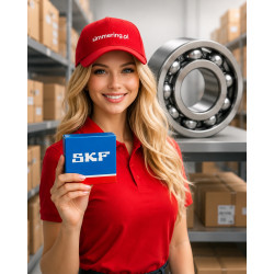 16005 C3 SKF Deep Groove Ball Bearing 25x47x8