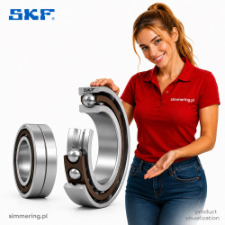 SKF 71960 CDGA/P4A 300x420x56 Super Precision Angular Contact Ball Bearing