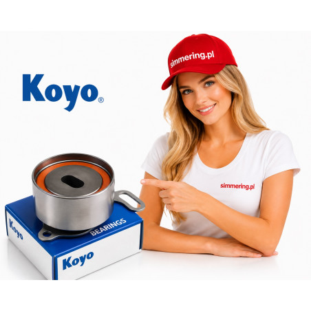 zzp-koyo-ball-bearing-girl