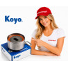 zzp-koyo-ball-bearing-girl