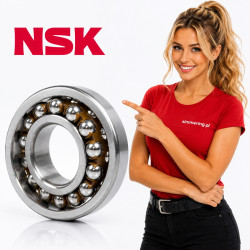 NSK 1210 K TNG C3 50x90x20 Łożysko Kulkowe Wahliwe