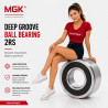6313 2RS MGK 65x140x33 Deep Groove Ball Bearing