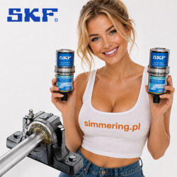 SKF TLSD 250/WA2 SYSTEM 24 Automatic Lubricator 250 ml
