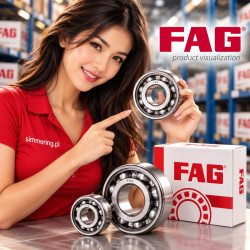 S6009 FAG 45x75x16 Deep Groove Ball Bearing