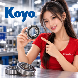 6004 2RS KOYO 20x42x12 - łożysko kulkowe zwykłe