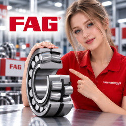 22228 -E1-K FAG Spherical Roller Bearing 140x250x68 - Durability & Precision