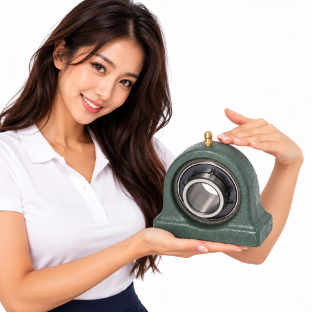 UCUP204 NSK 20 Bearing Housing