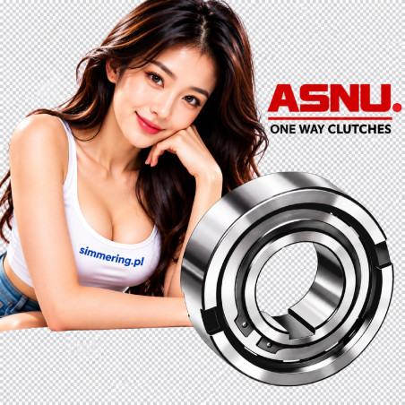 ASNU 15 NAF 15x42x18 Freewheel Clutch